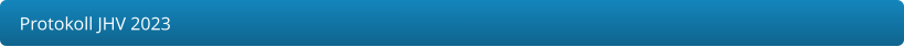 Protokoll JHV 2023